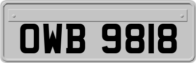 OWB9818