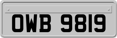 OWB9819