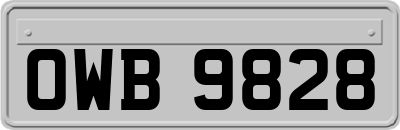 OWB9828