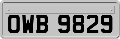 OWB9829