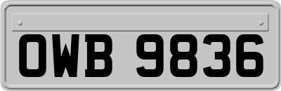 OWB9836