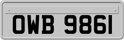OWB9861