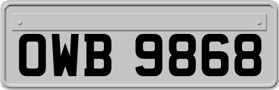 OWB9868
