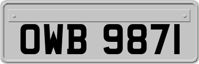 OWB9871