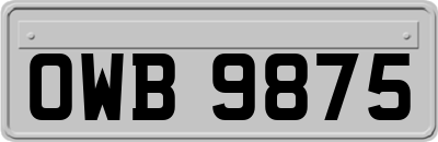 OWB9875