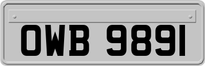 OWB9891