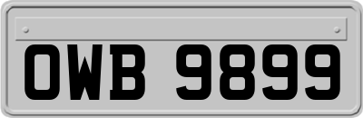 OWB9899