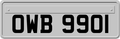 OWB9901