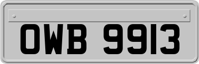 OWB9913