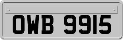 OWB9915