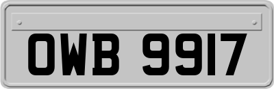 OWB9917