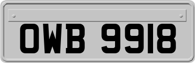 OWB9918