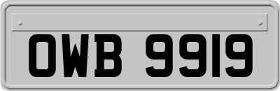 OWB9919