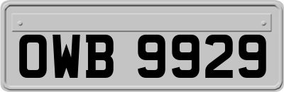 OWB9929