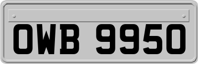 OWB9950
