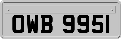 OWB9951