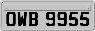 OWB9955