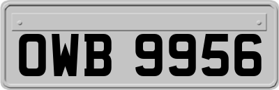 OWB9956