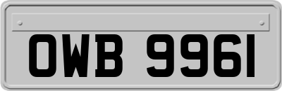 OWB9961