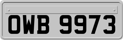 OWB9973