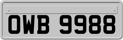 OWB9988