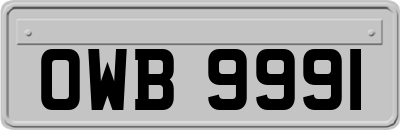 OWB9991