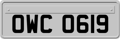 OWC0619