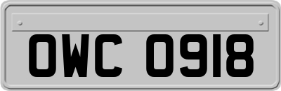 OWC0918