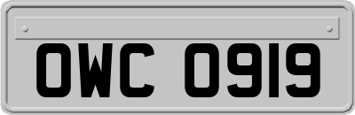 OWC0919