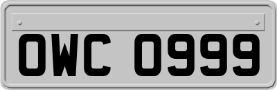 OWC0999
