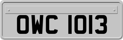 OWC1013