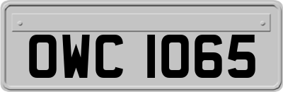 OWC1065