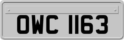 OWC1163
