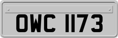 OWC1173