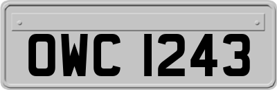 OWC1243