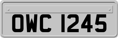 OWC1245