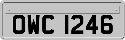 OWC1246