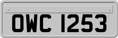 OWC1253