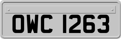 OWC1263