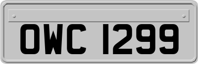 OWC1299