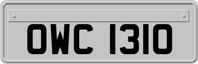 OWC1310