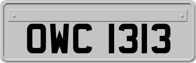 OWC1313