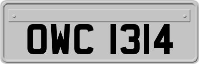 OWC1314