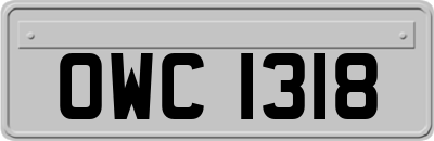OWC1318