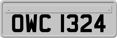 OWC1324