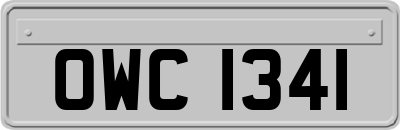 OWC1341