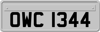 OWC1344