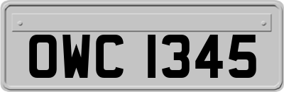OWC1345