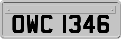 OWC1346