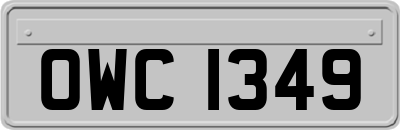 OWC1349
